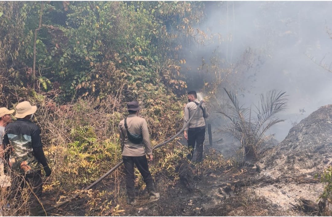 86 Hektare Lahan Terbakar di Tebo, Polri-TNI dan Tim Gabungan Bergerak Padamkan Karhutla